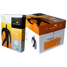 PAPEL PAPERLINE 11X17  75GR